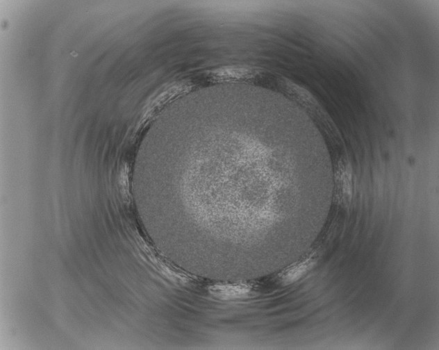 X0000057080765200509161604