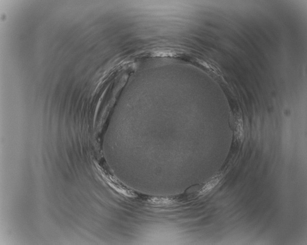 X0000057080766200509161604