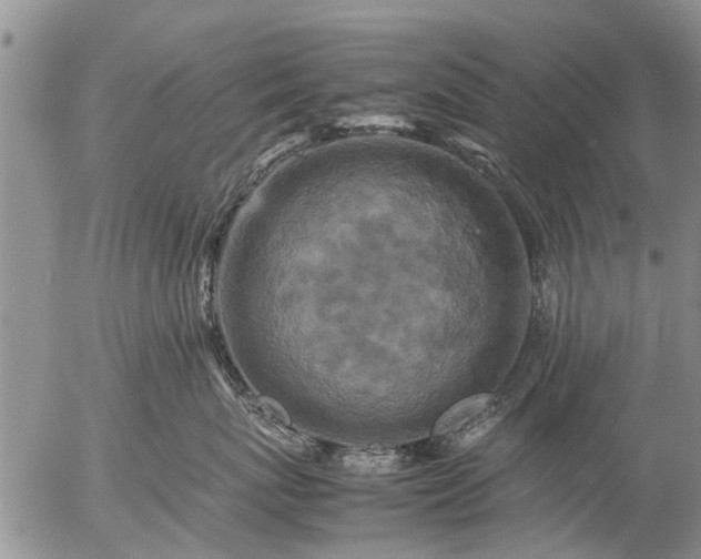 X0000057080767200509161604