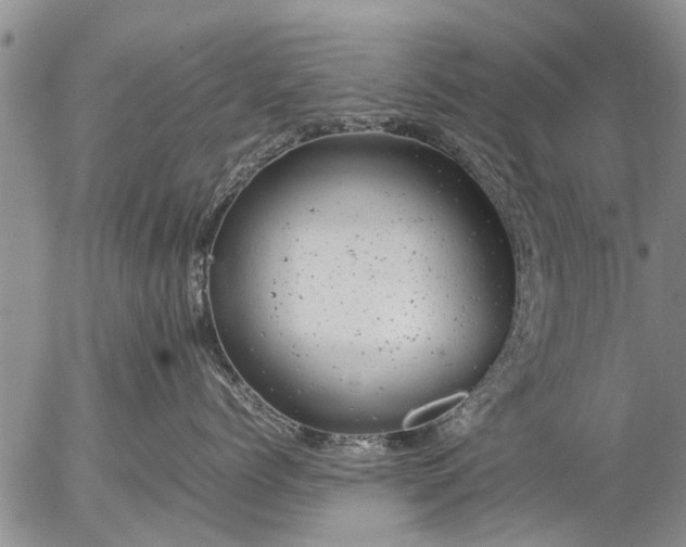 X0000057080768200509161604