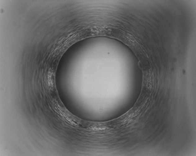 X0000057080770200509161603