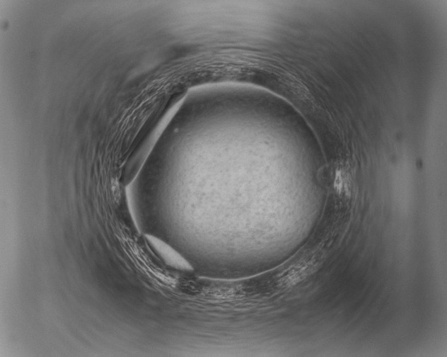 X0000057080771200509161603