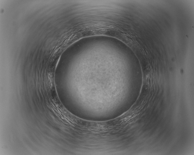 X0000057080772200509161603