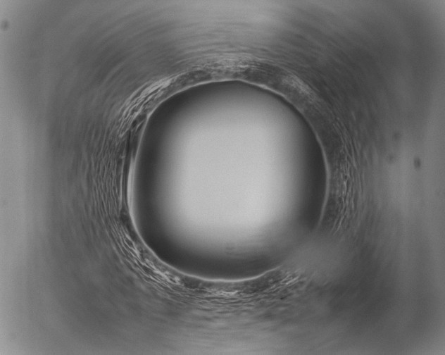 X0000057080773200509161603