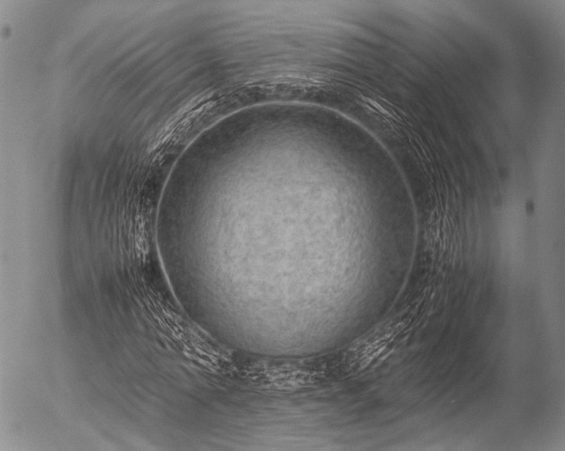 X0000057080774200509161603