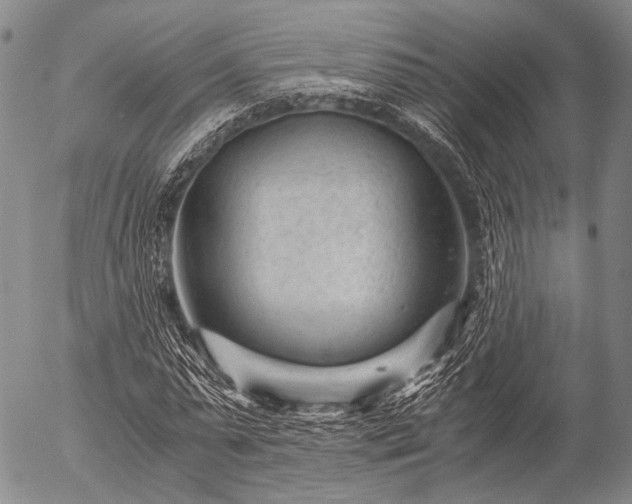 X0000057080775200509161603