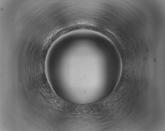 X0000057080776200509161603