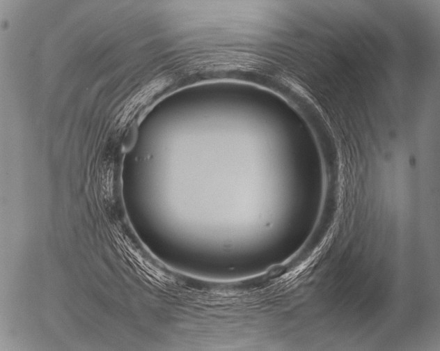 X0000057080777200509161603