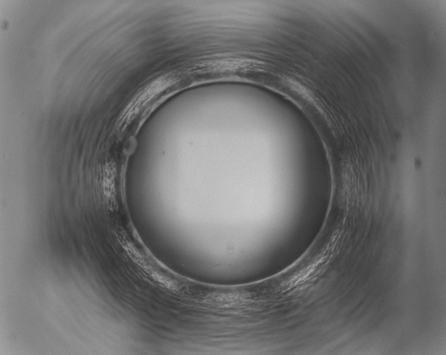 X0000057080778200509161603