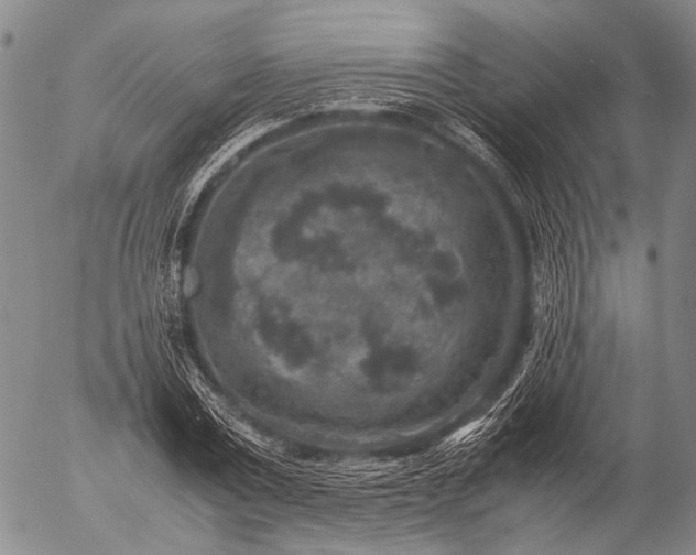 X0000057080779200509161603