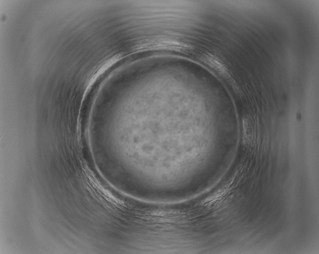 X0000057080780200509161603