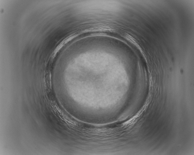 X0000057080781200509161603