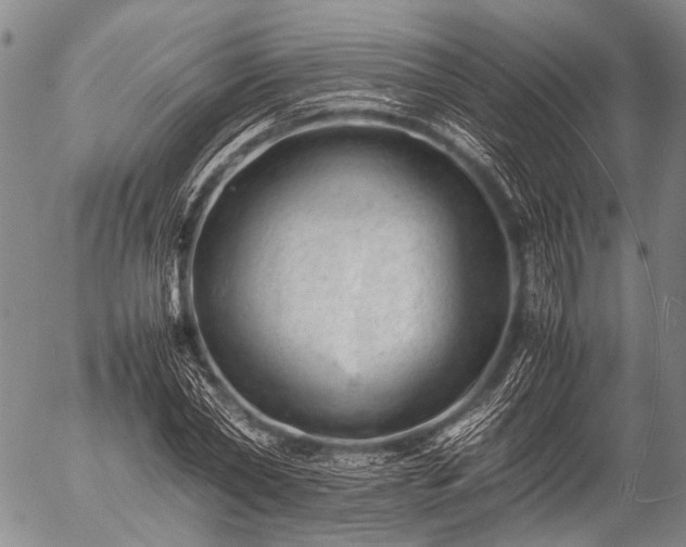 X0000057080782200509161603