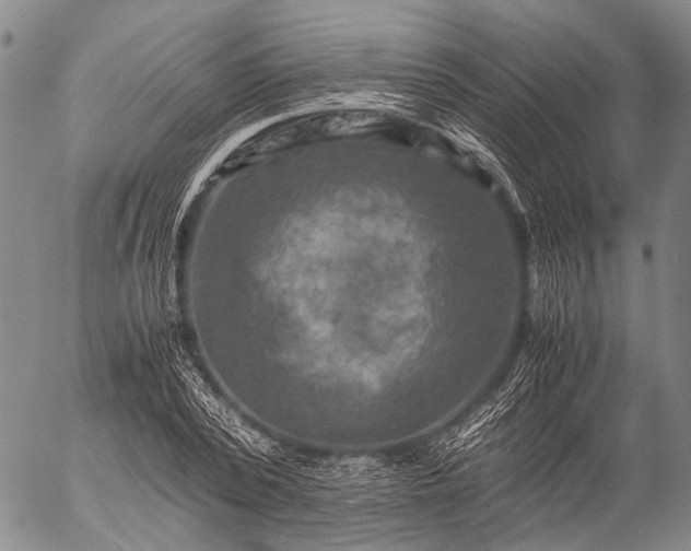 X0000057080784200509161603