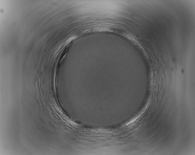 X0000057080785200509161603