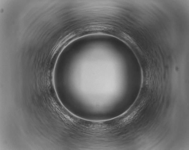 X0000057080786200509161603