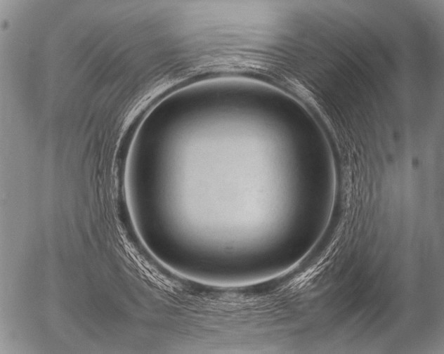 X0000057080787200509161603