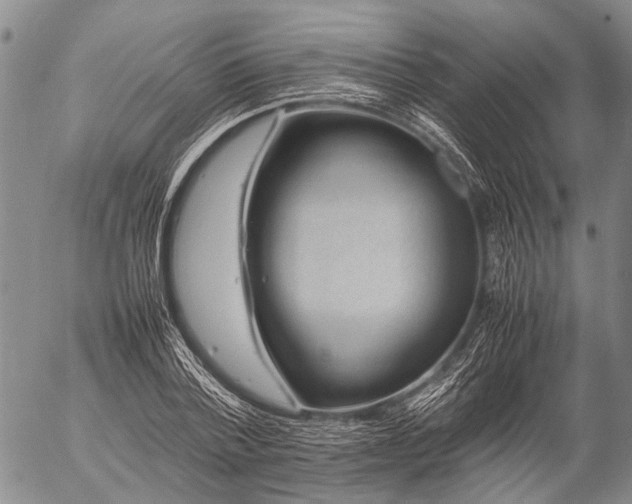 X0000057080788200509161603