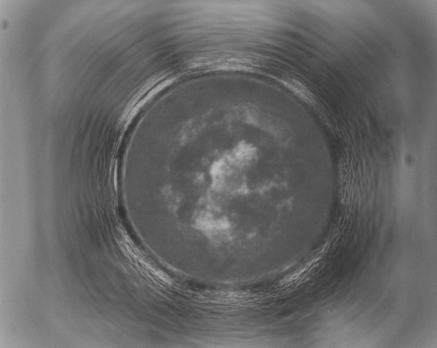 X0000057080790200509161603