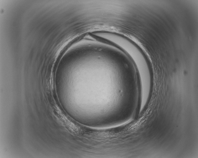 X0000057080791200509161603