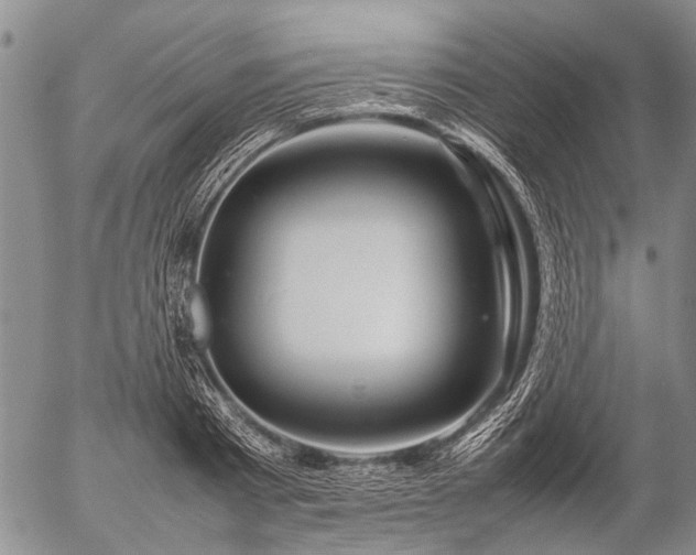 X0000057080793200509161603