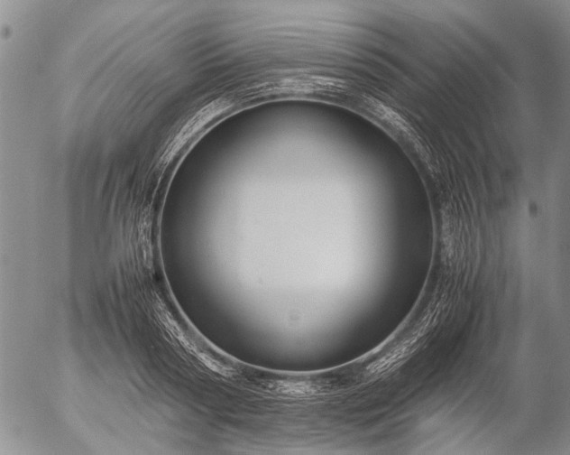 X0000057080794200509161603