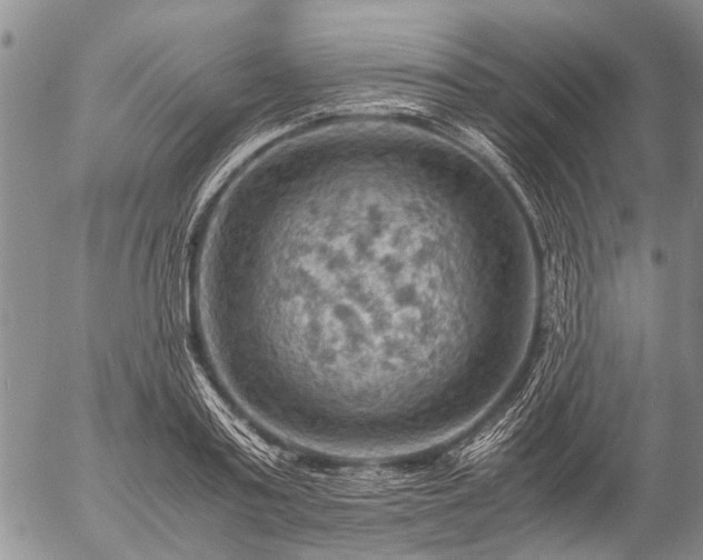 X0000057080795200509161603