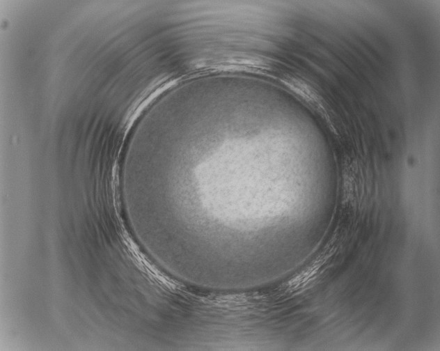 X0000057080798200509161603