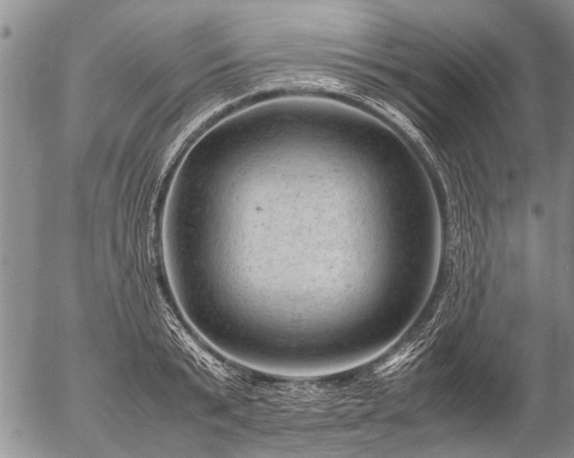 X0000057080799200509161603