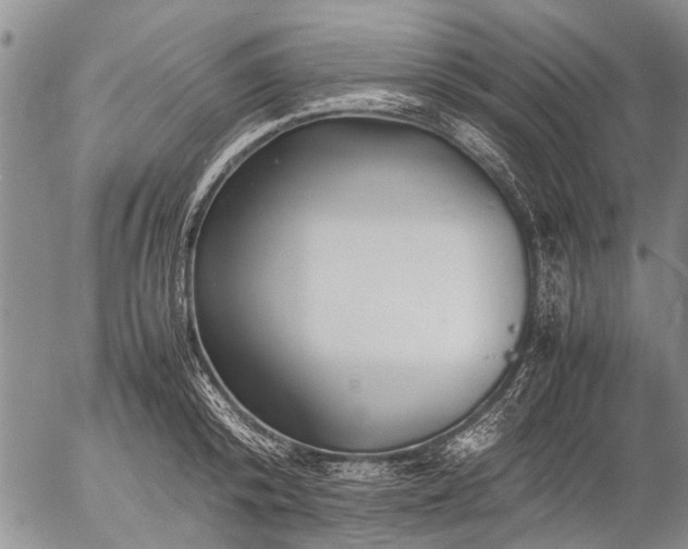 X0000057080800200509161603