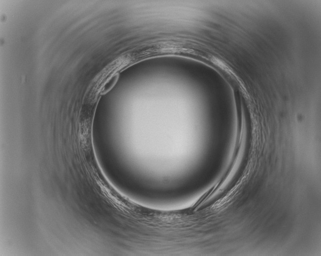 X0000057080801200509161603