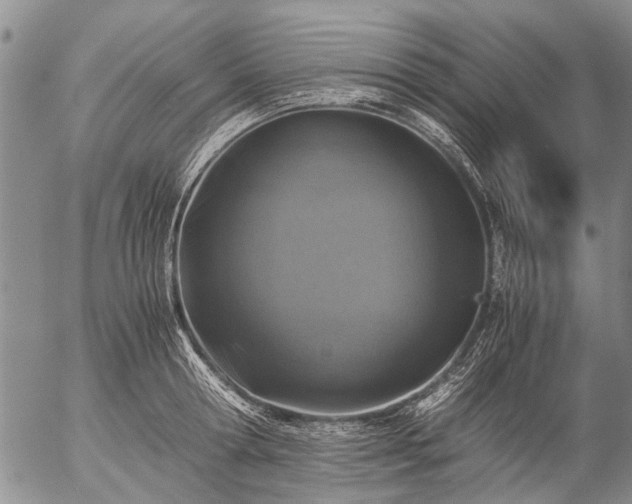 X0000057080802200509161602