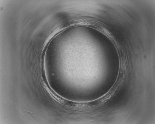 X0000057080803200509161602