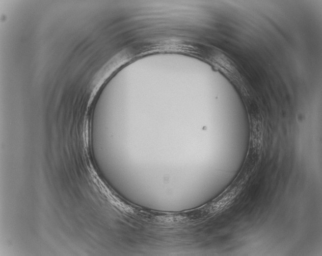 X0000057080804200509161602