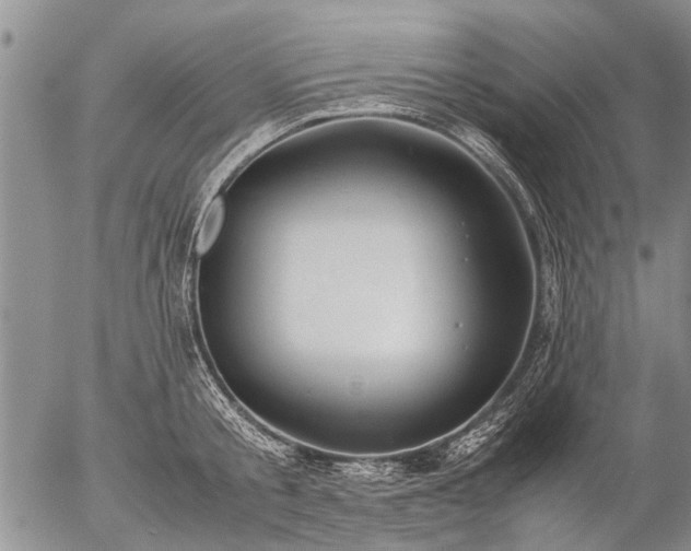 X0000057080805200509161602