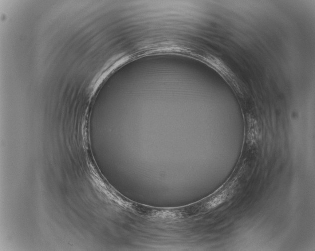 X0000057080806200509161602