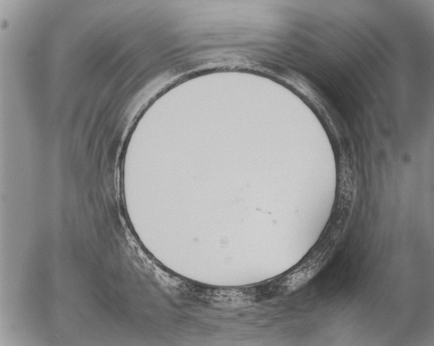 X0000057080807200509161602