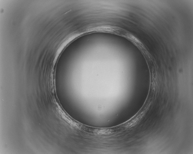 X0000057080808200509161602