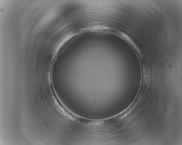 X0000057080810200509161602