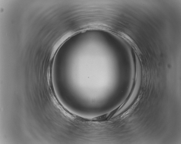 X0000057080812200509161602