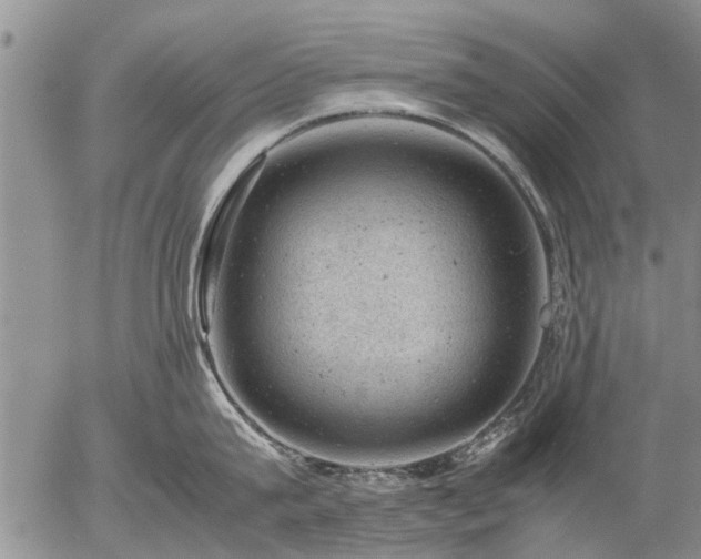 X0000057080815200509161602