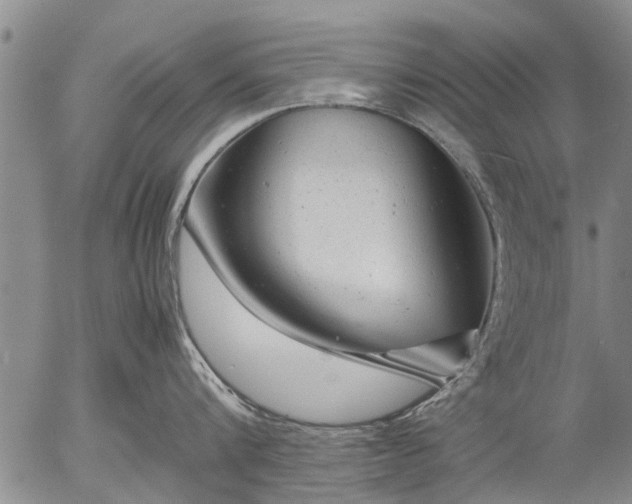 X0000057080816200509161602