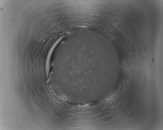 X0000057080818200509161601