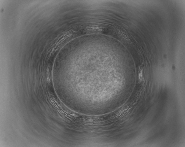 X0000057080819200509161601