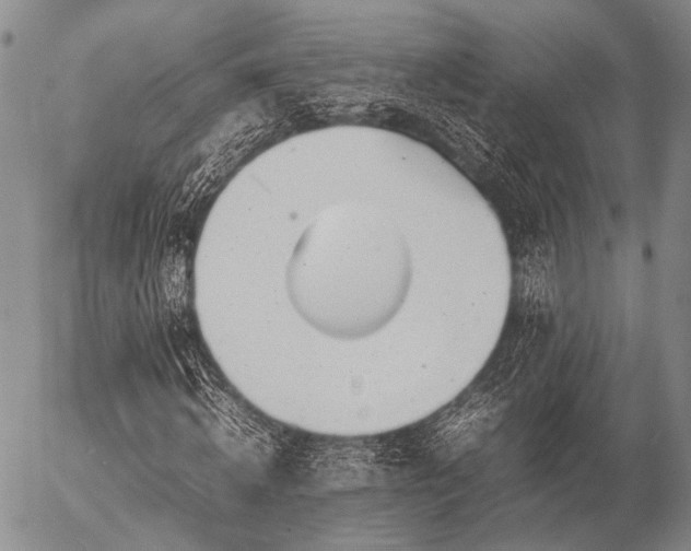 X0000057080820200509161601