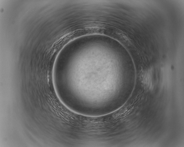 X0000057080821200509161602