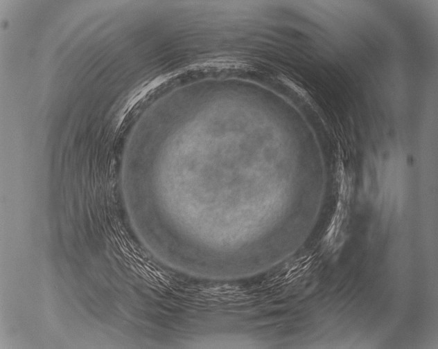 X0000057080823200509161602