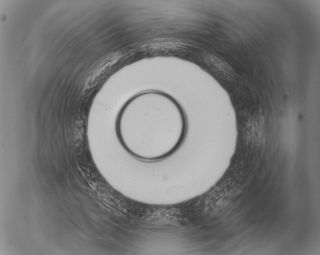 X0000057080824200509161602