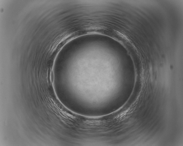 X0000057080825200509161602