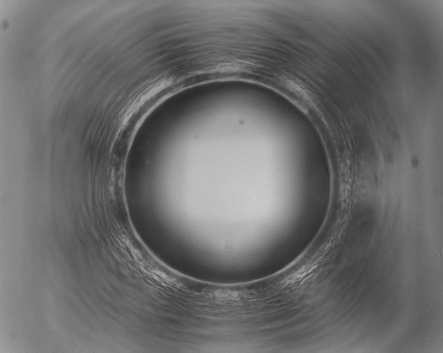 X0000057080827200509161602